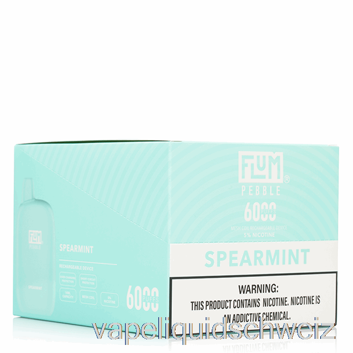 [10er-Pack] Flum Pebble 6000 Einweg-Vape Schweiz
